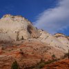 Zion 08